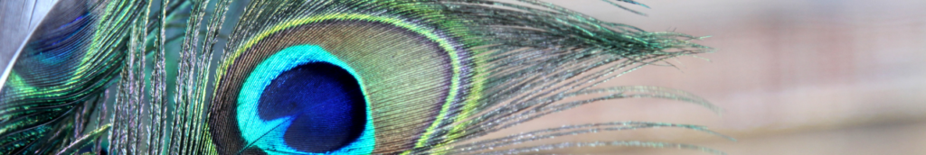 Blog header image 6 Social Media Etiquette Faux Pas Businesses Still Make in 2024 (And How to Fix Them)