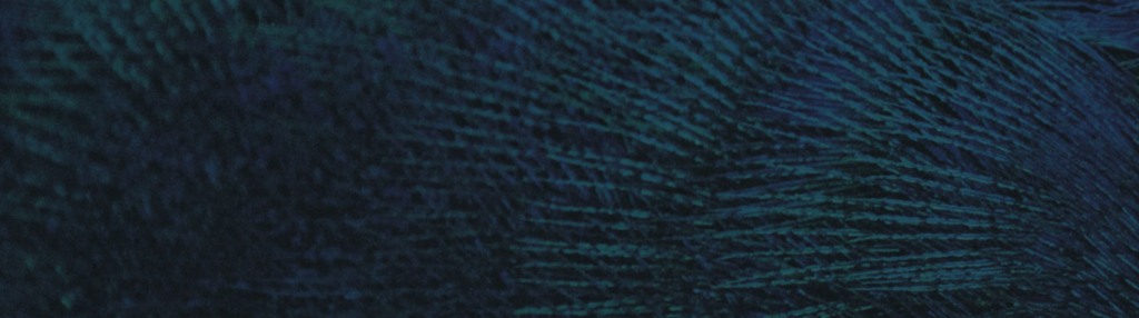 social media strategy blog header graphic