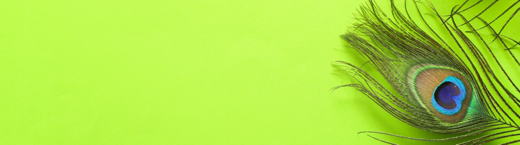 social media strategy blog header graphic