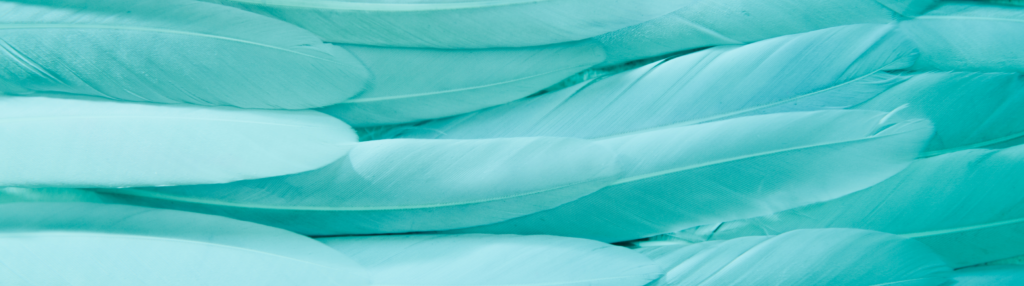 social media strategy blog header graphic