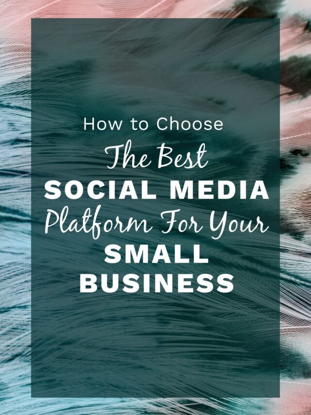 Recap of How to Choose the Best Social Media Platform For Your Small Business Needs