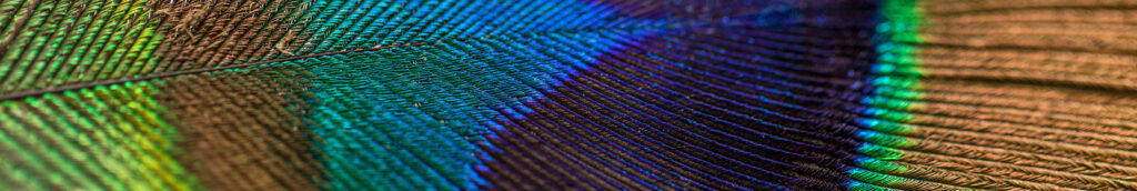 How to Improve online sales with social media content