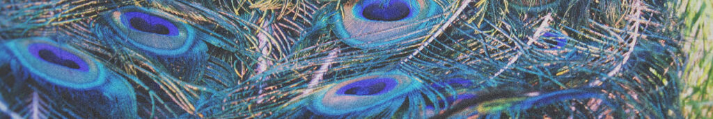 How to use Google My Business as a Solopreneur