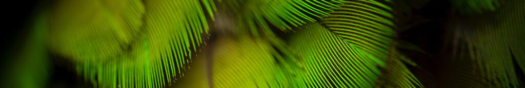 Why I'd write a guest post - an authority play