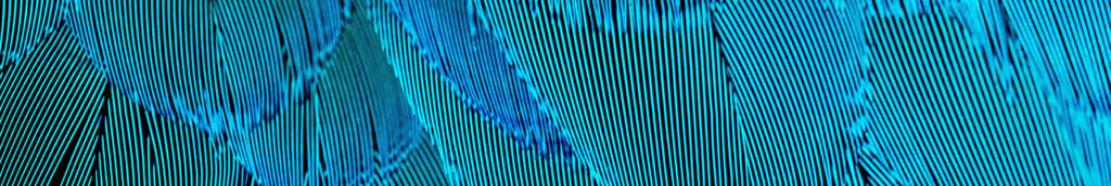 mistakes in social media marketing