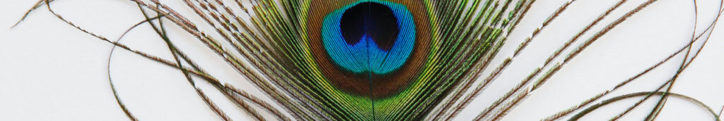 Why Live Podcasts Are The Next Big Thing