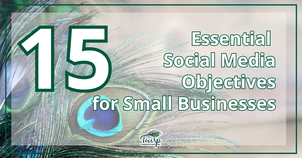 15 Essential Social Media Objectives for Small Businesses